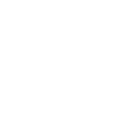 ZionDelta Labs